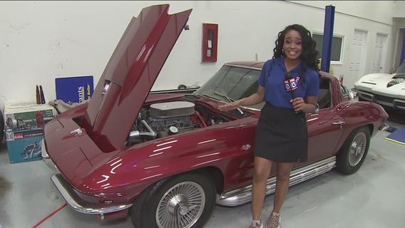 Car collection auction happening in Seffner