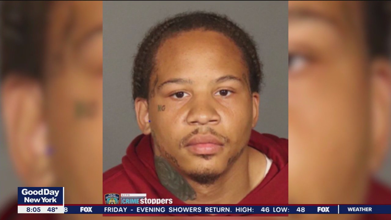 Suspect in NYC shooting spree turns himself in | FOX 5 New York