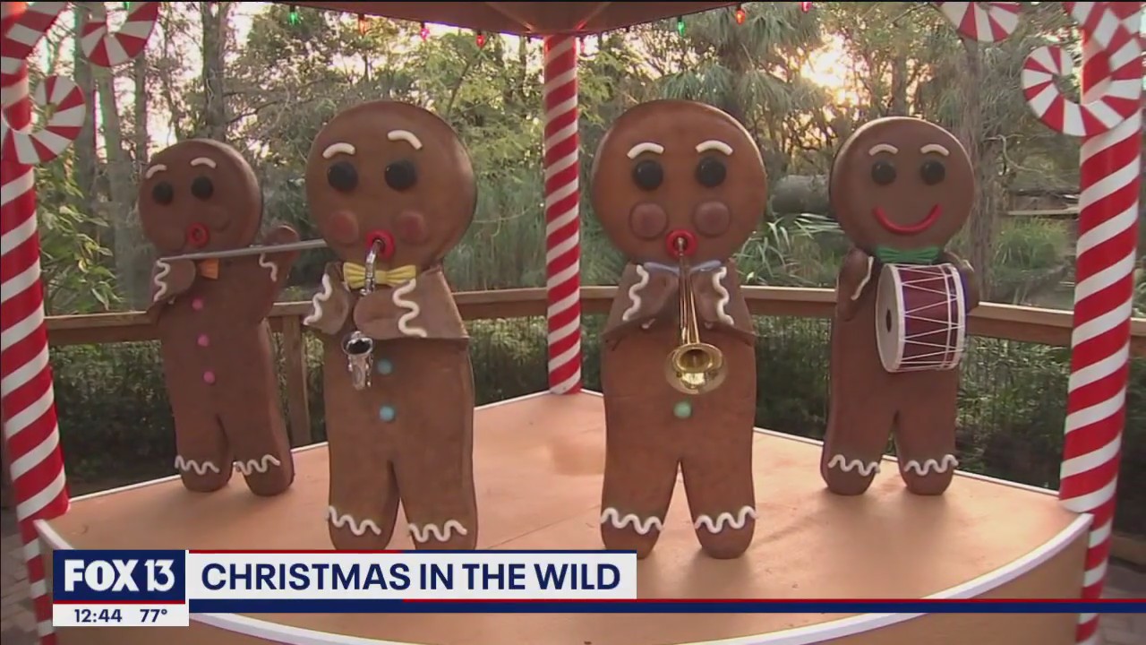 Zoo Tampa celebrates Christmas in the Wild