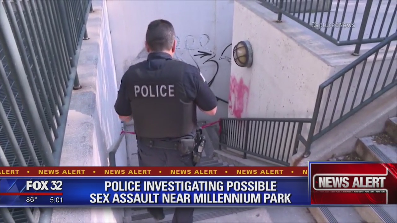 Woman sexually assaulted by phone thief near Millennium Park: police