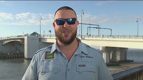 How do fish react to cold snaps?