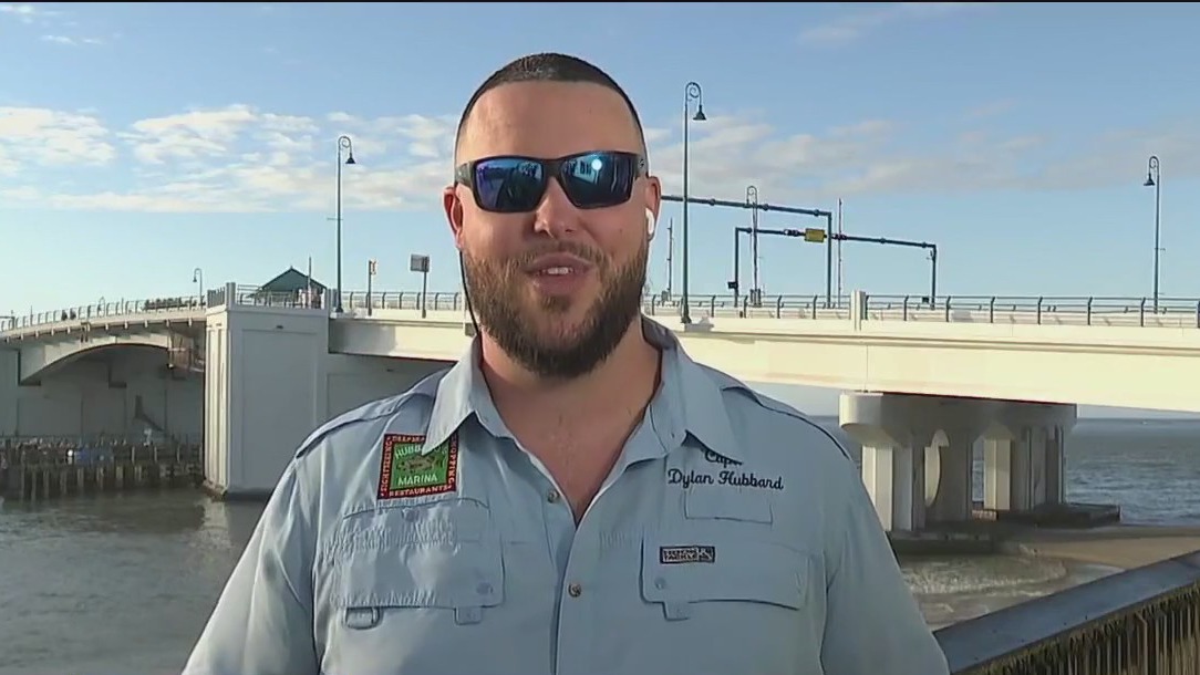 How do fish react to cold snaps?