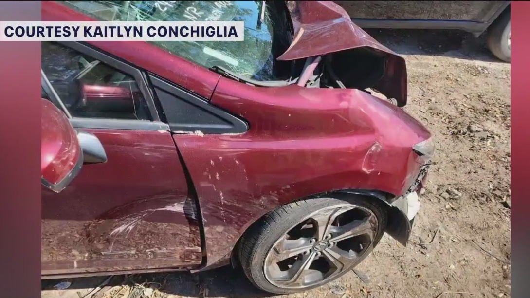 St. Pete police searching for hit-and-run driver | FOX 13 Tampa Bay