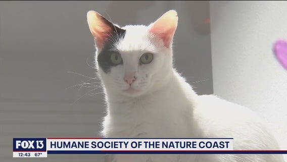 Humane Society of The Nature Coast honors Betty White's birthday