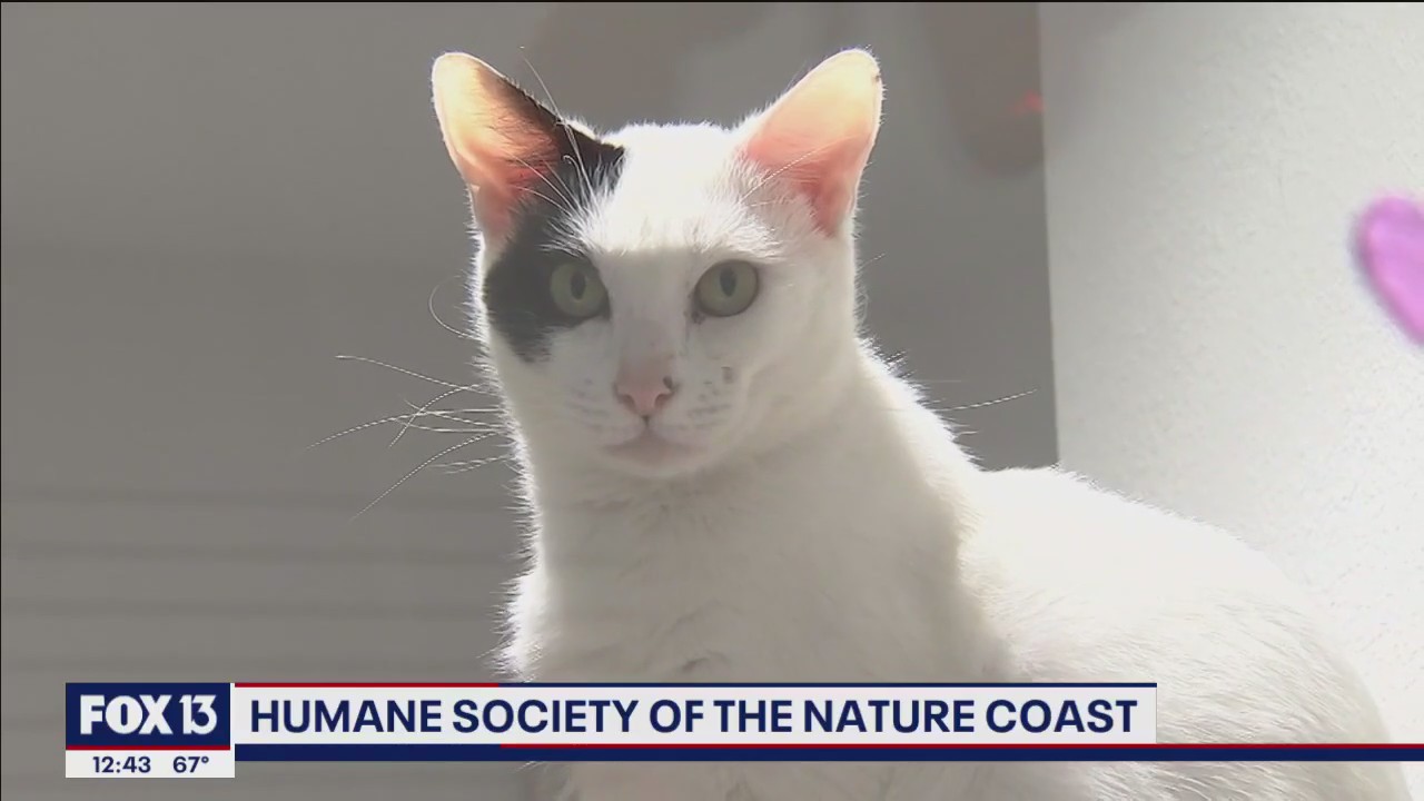 Humane Society of The Nature Coast honors Betty White's birthday