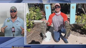 Good Catch Fishing Report: New moon brings new movement for inshore fishing