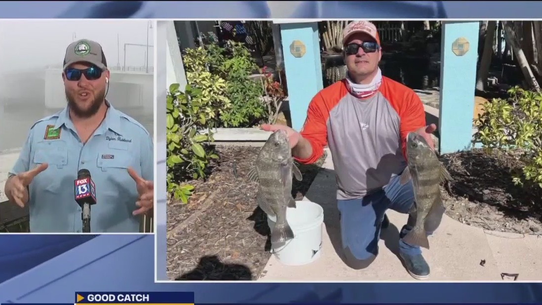 Good Catch Fishing Report: New moon brings new movement for inshore fishing