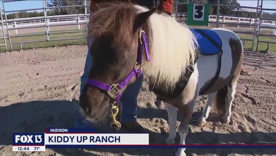 On the saddle therapy and beyond at Kiddy Up Ranch