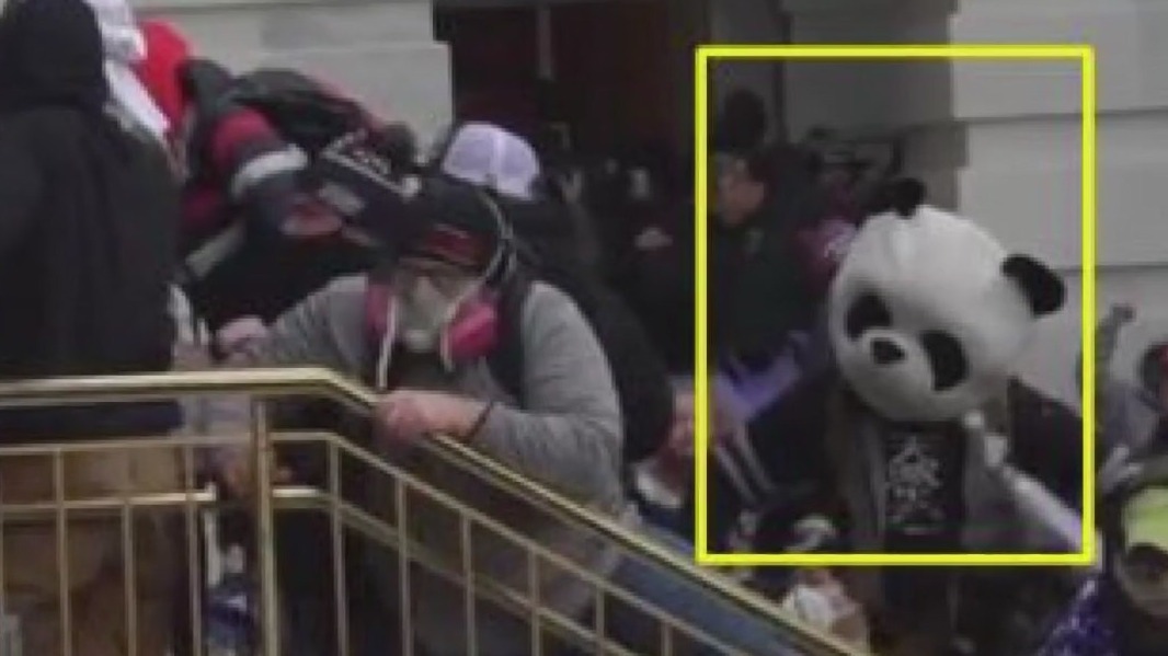 Man dressed as panda arrested in connection with Capitol riot | FOX 13 ...