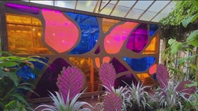 Marie Selby Botanical Gardens immersive horticultural installation showcases Louis Tiffany