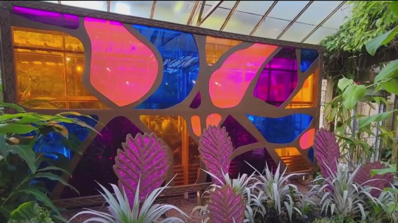 Marie Selby Botanical Gardens immersive horticultural installation showcases Louis Tiffany