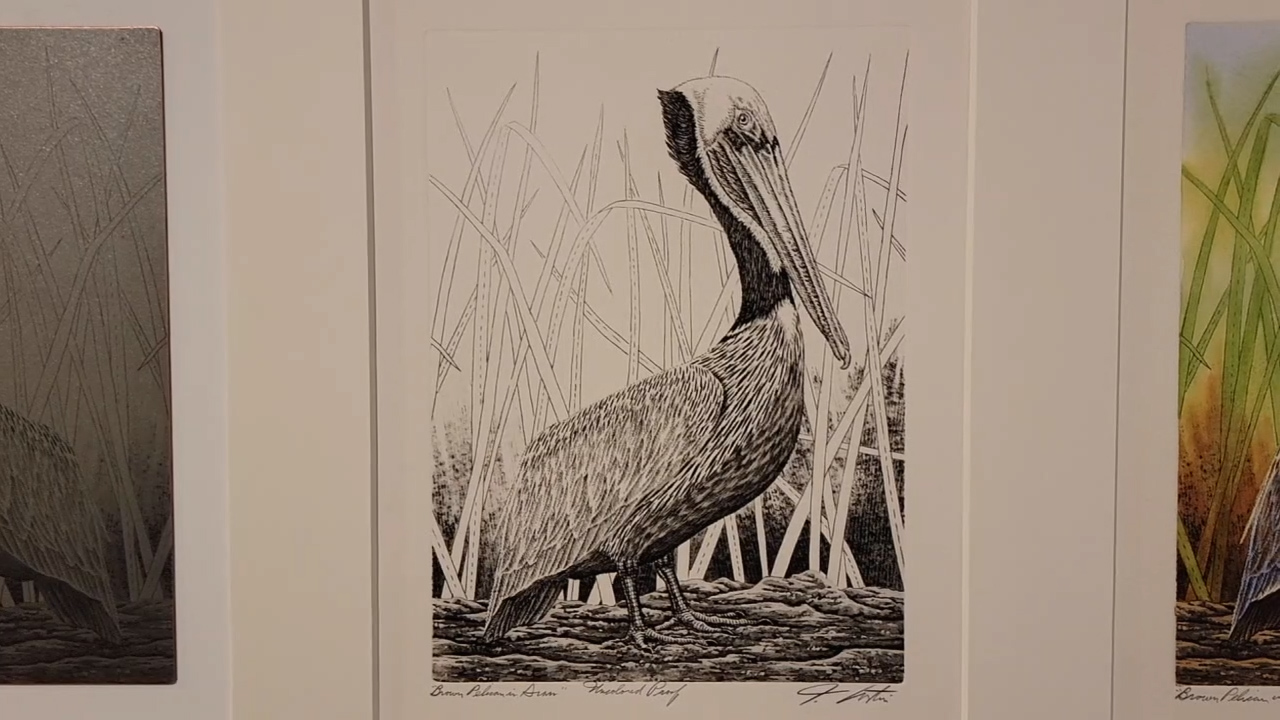 Tampa Bay History Center exhibit features the work of local artist, John Costin