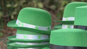 Charley celebrates St. Patrick's Day in St. Pete