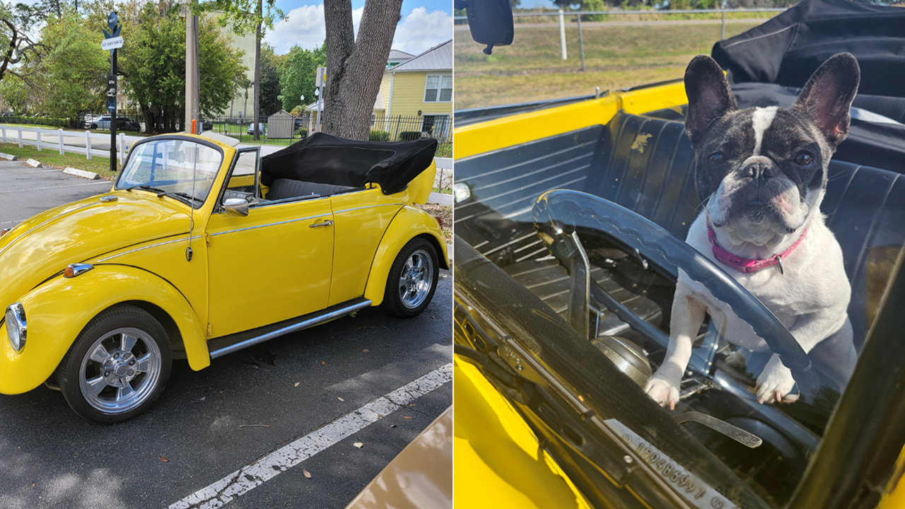 1969 VW convertible bug