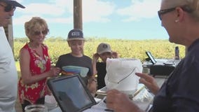 U-pick blueberry season underway in Sarasota
