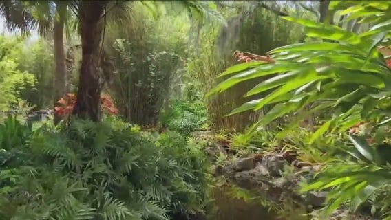 Drone Zone: Spring has sprung at the Florida Botanical Gardens