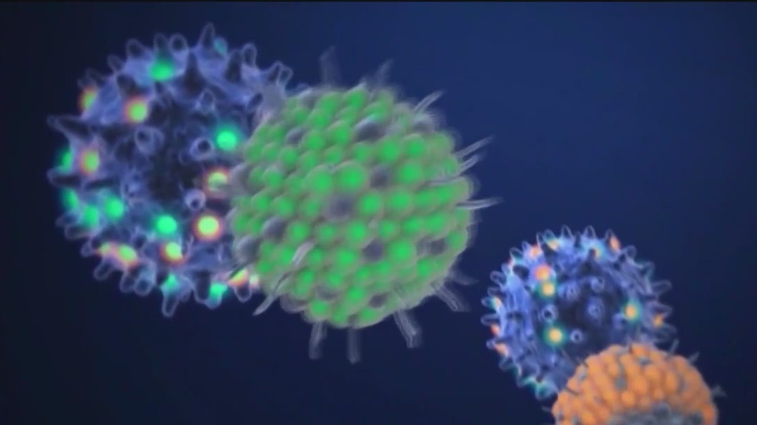 New omicron variant XBB.1.5 spreading rapidly across U.S. | FOX 5 New York