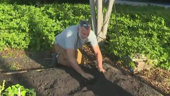 How to prepare a summer garden