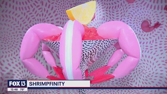 Fairgrounds St. Pete hosts pop-up art installation, Shrimpfinity