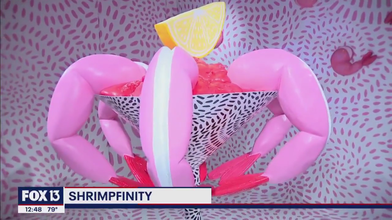 Fairgrounds St. Pete hosts pop-up art installation, Shrimpfinity