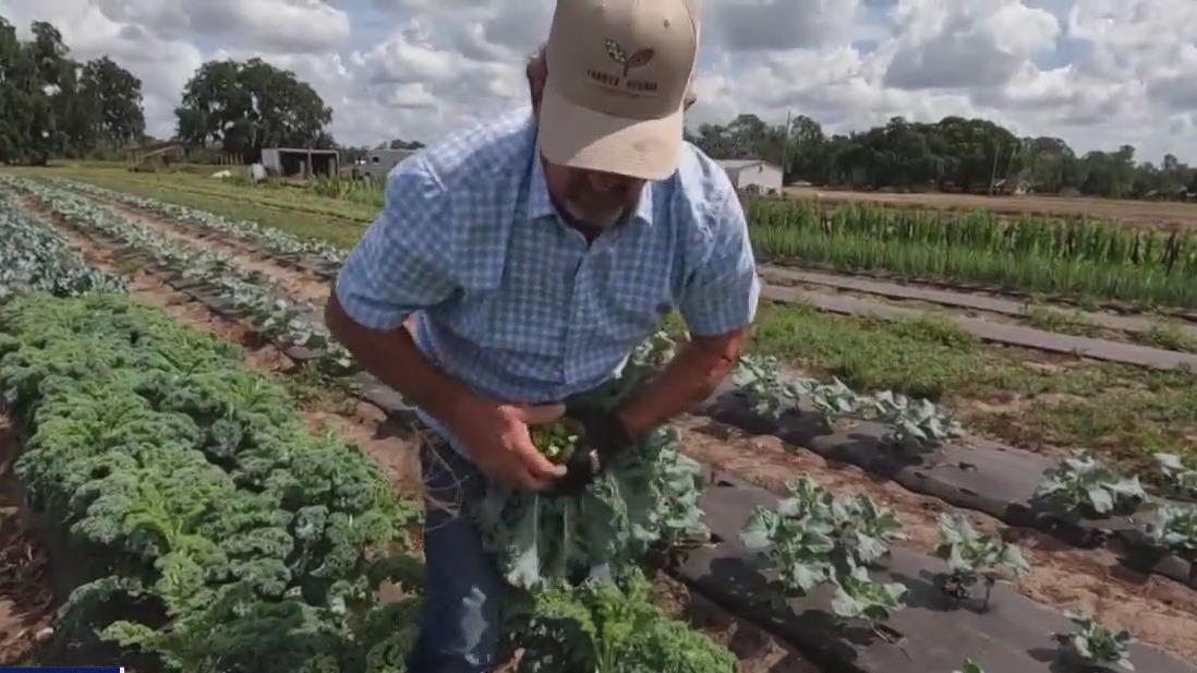 Veteran prices himself on his produce at Lithia farm