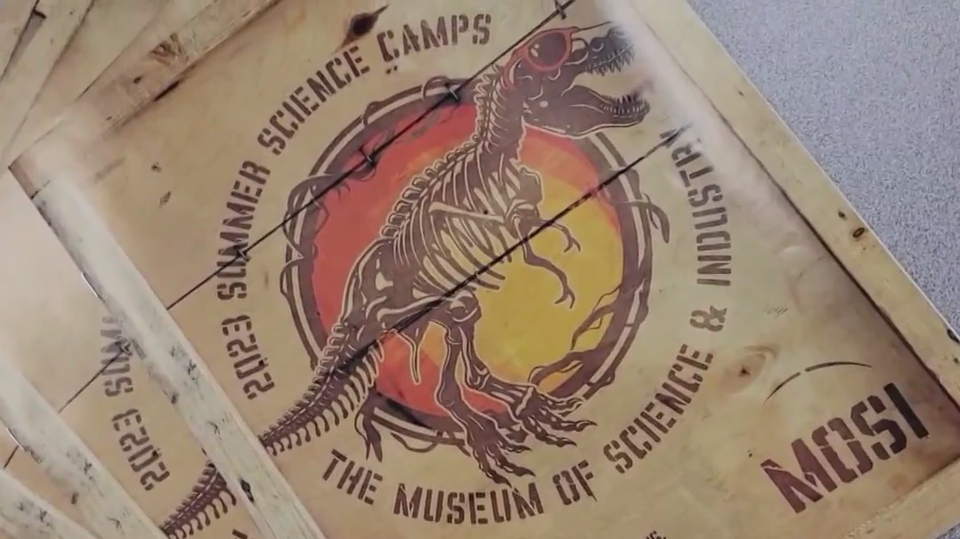 Keep your child's brain going over the summer at MOSI