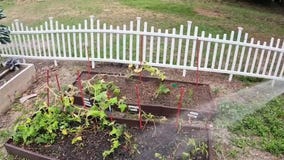 Tampa Girl Scout receives Girl Scout Gold Award