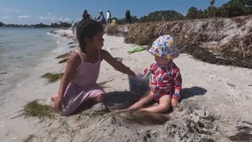 Wild School of Tampa Bay