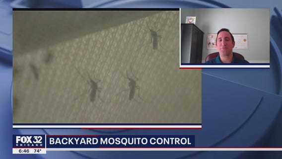 Tips for controlling mosquitoes as summer settles in