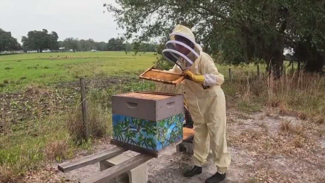 Local beekeeper elected 'Honey Queen'