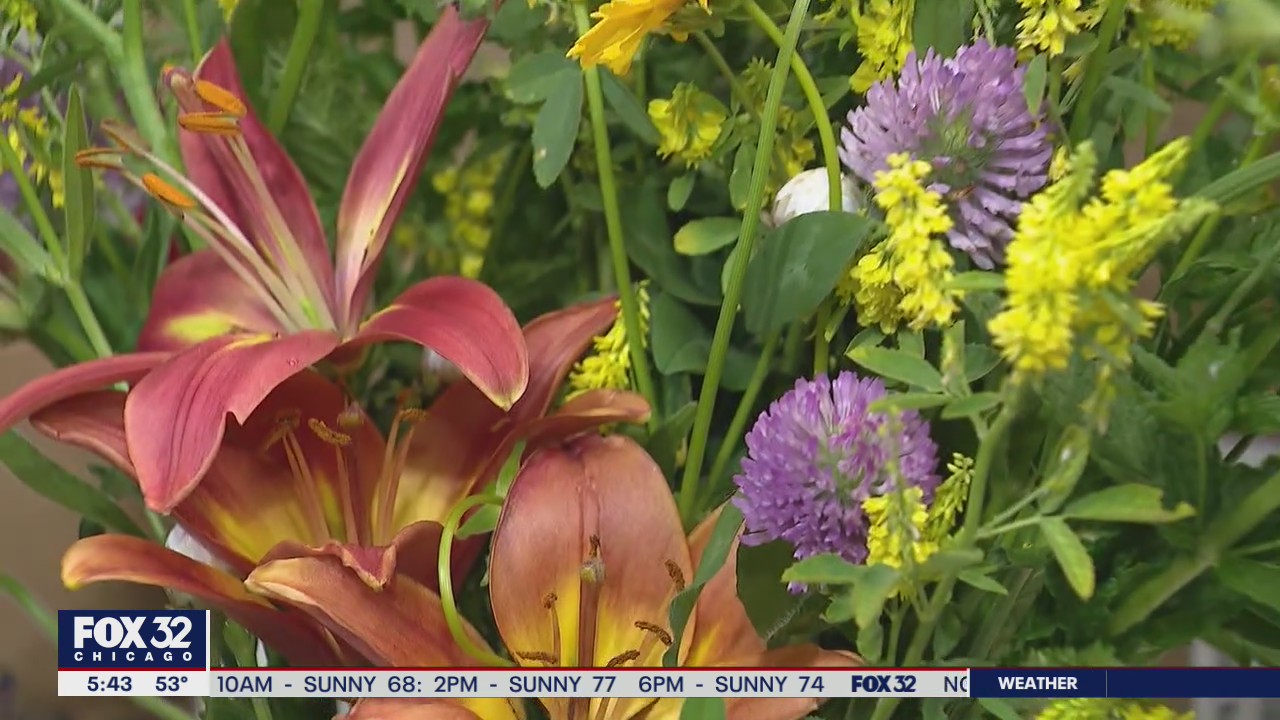 Hope sprouts in Englewood through sustainable gardening