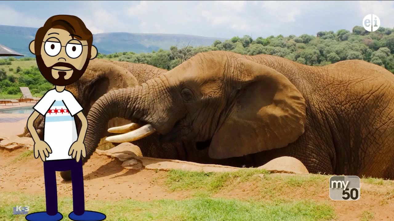 We Still Teach: Monday, June 15