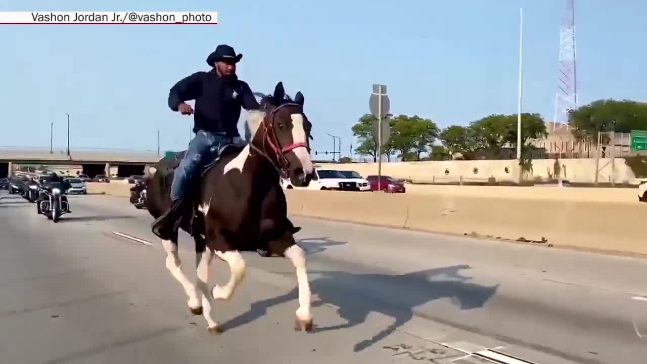 Dread Head Cowboy's horse may need to be euthanized after Dan Ryan ...