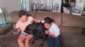 Connecting military families with dogs
