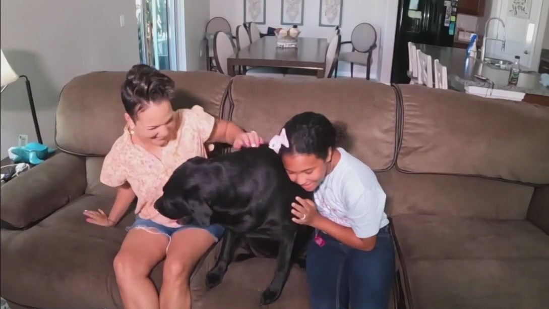 Connecting military families with dogs