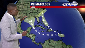 Tropical development quelled by Saharan Dust