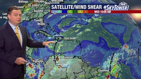 Lighter wind shear in Gulf of Mexico