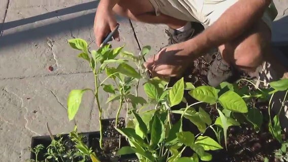 Is it too late to plant a garden?