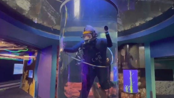 Divers deep-cleaning Florida Aquarium habitats