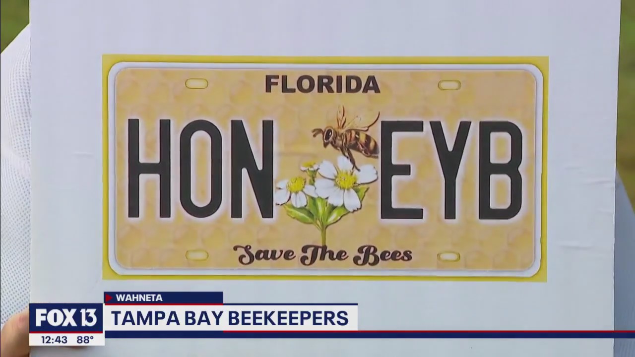 Help save the bees by preordering a specialty plate