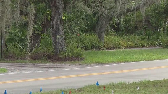 Residents concerned over Palm Harbor project