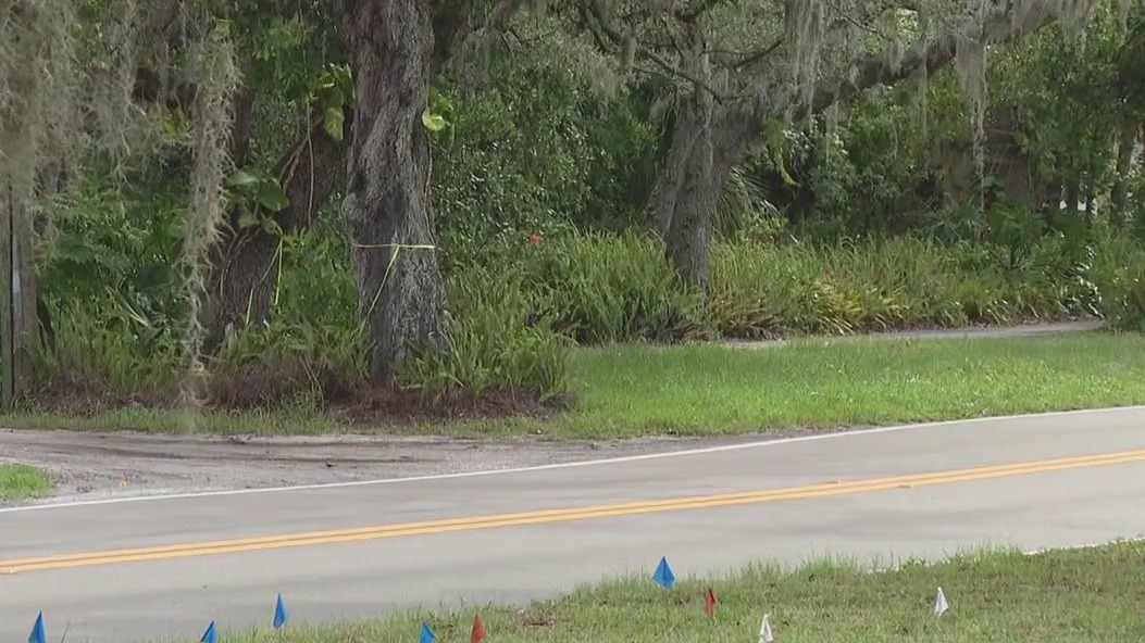 Residents concerned over Palm Harbor project