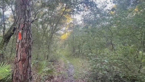 Trail running gains popularity