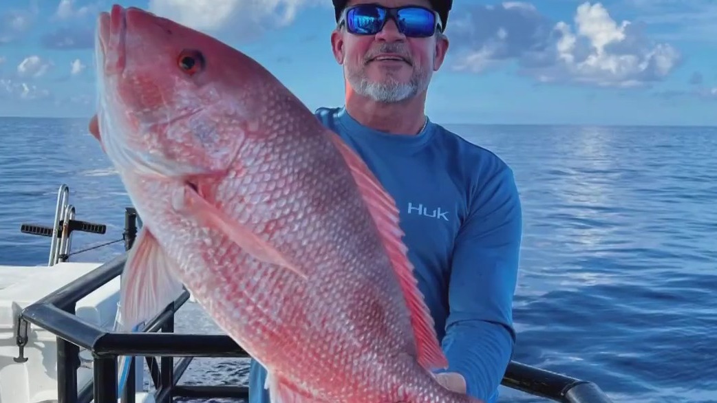 Mangrove snapper are biting