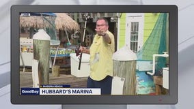 Good Day's funniest moments of the week