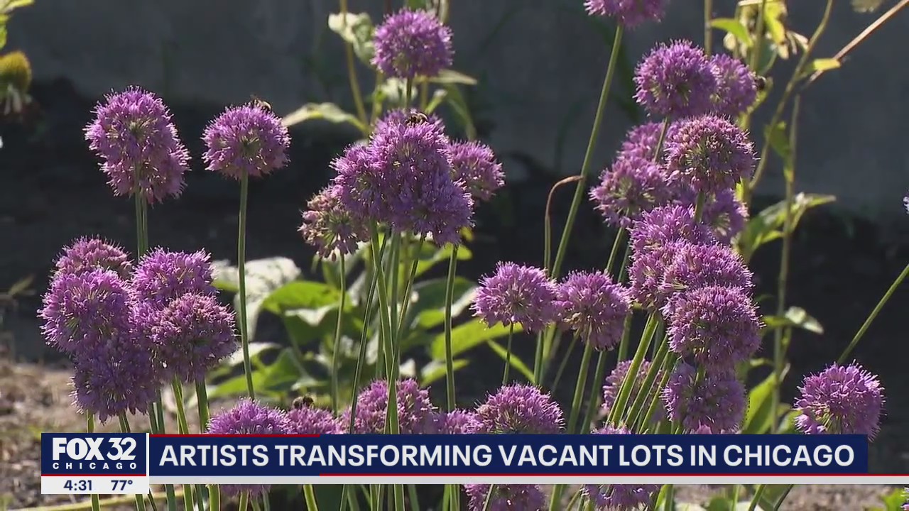 Artists transform vacant lots in Chicago