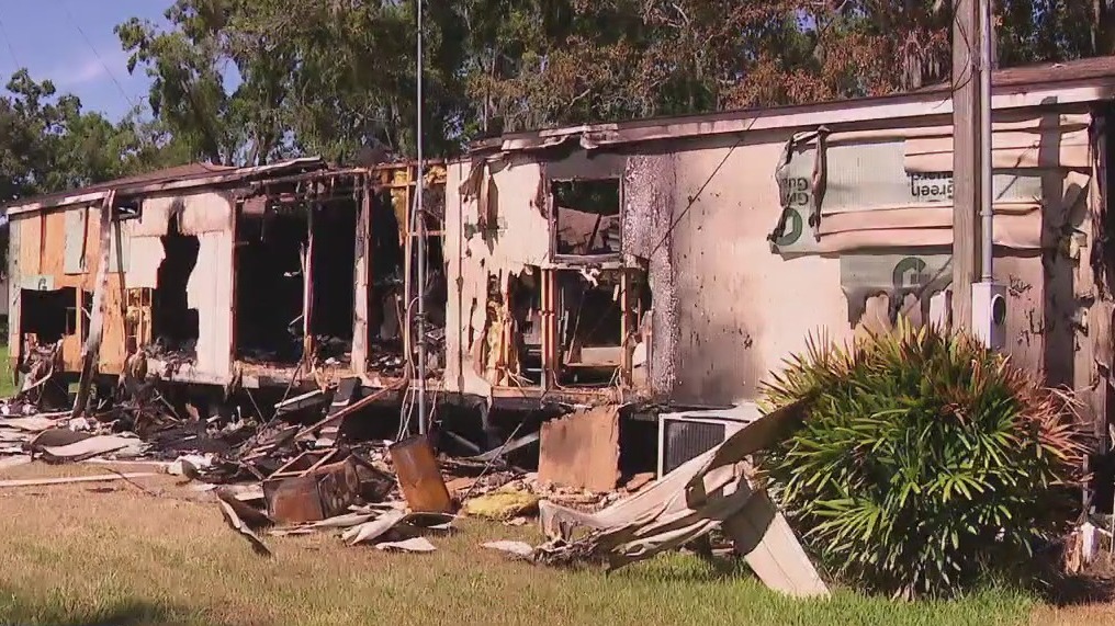Elderly couple credits cat for saving their lives