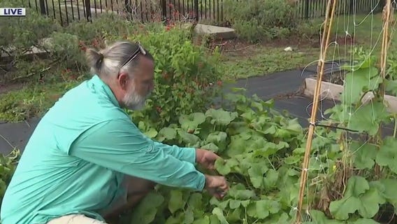 Get a garden to grow with a trim