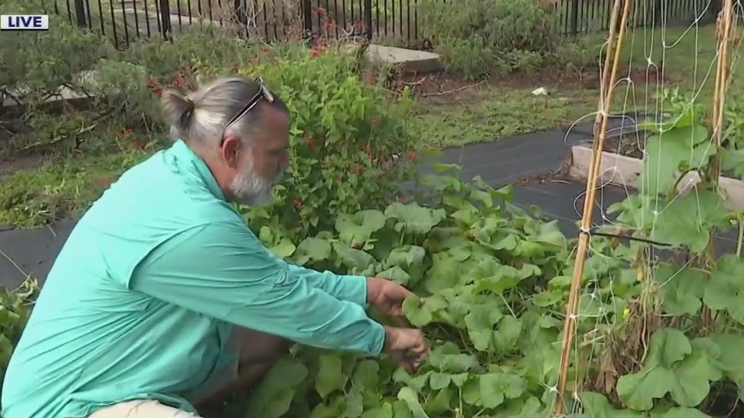 Get a garden to grow with a trim