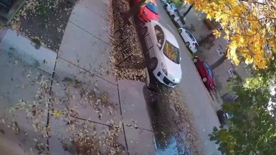 Bucktown carjacking caught on camera